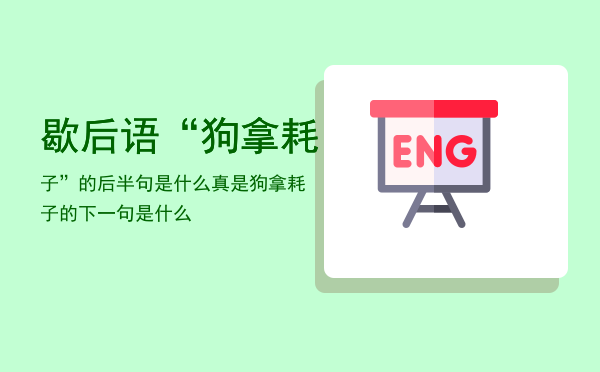 歇后语“狗拿耗子”的后半句是什么，真是狗拿耗子的下一句是什么