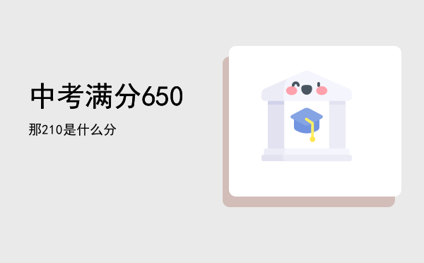 中考满分650那210是什么分