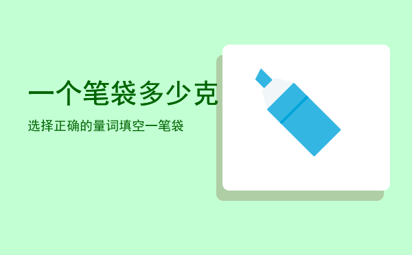 一个笔袋多少克「选择正确的量词填空一笔袋」