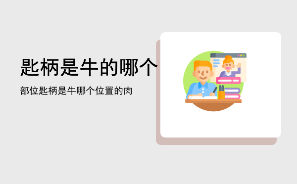 匙柄是牛的哪个部位「匙柄是牛哪个位置的肉」