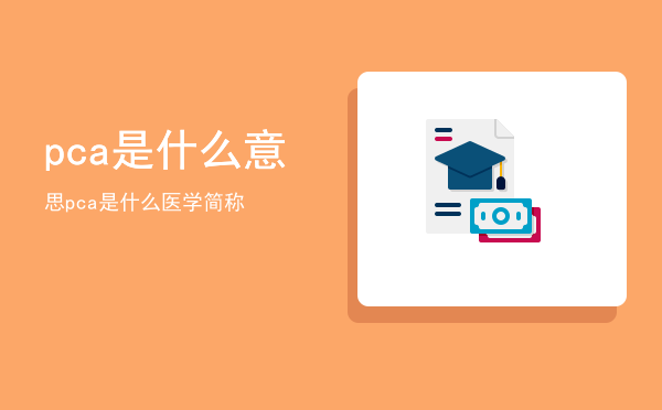 pca是什么意思（pca是什么医学简称）