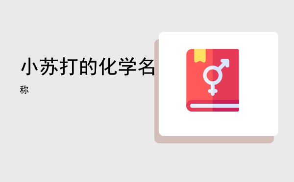 小苏打的化学名称