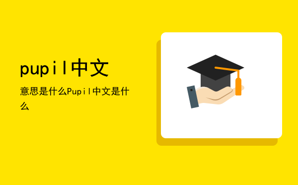 pupil中文意思是什么（Pupil中文是什么）