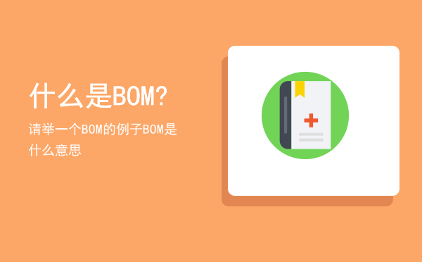 什么是BOM?请举一个BOM的例子，BOM是什么意思