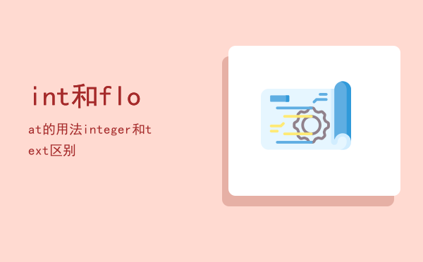 int和float的用法，integer和text区别