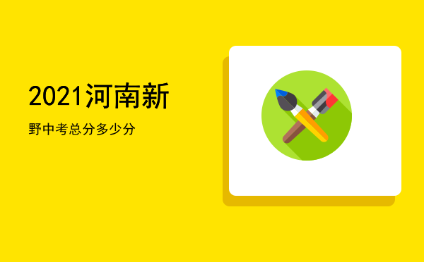 2021河南新野中考总分多少分