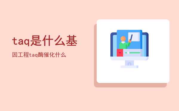 taq是什么 基因工程，taq酶催化什么