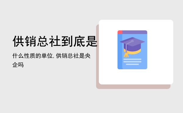 供销总社到底是什么性质的单位,供销总社是央企吗