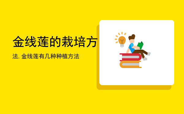 金线莲的栽培方法,金线莲有几种种植方法