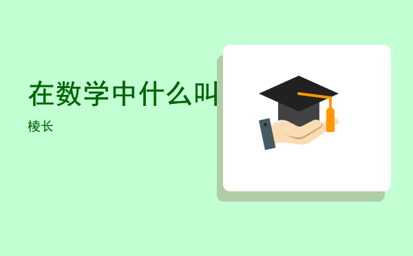 在数学中什么叫棱长