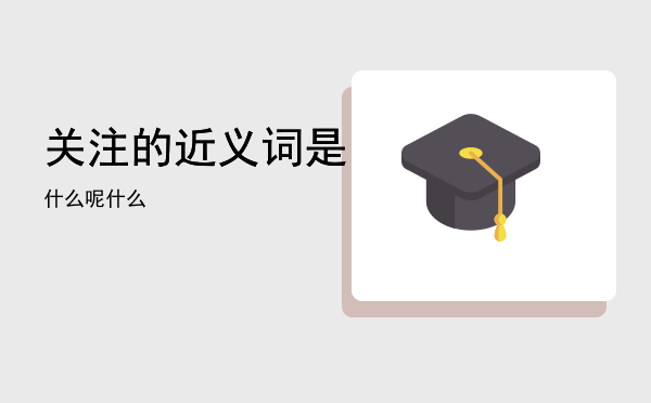 关注的近义词是什么呢「关注的近义词是什么」