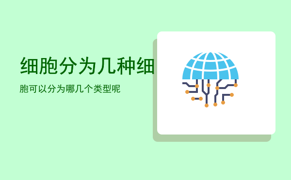 细胞分为几种「细胞可以分为哪几个类型呢」