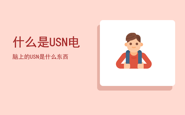 什么是USN，电脑上的USN是什么东西