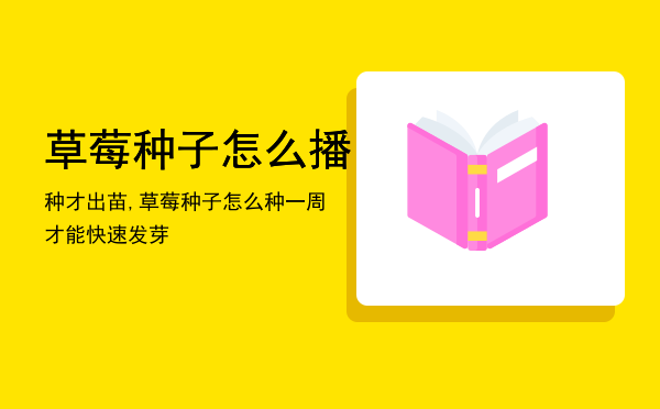 草莓种子怎么播种才出苗,草莓种子怎么种一周才能快速发芽