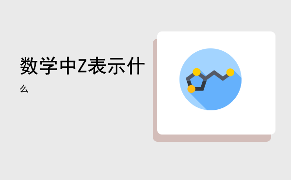 数学中Z表示什么