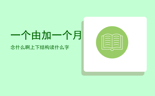 一个由加一个月念什么啊上下结构（一个由加一个月读什么字）