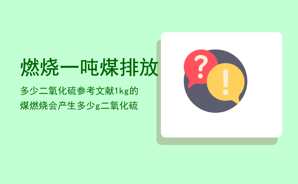 燃烧一吨煤排放多少二氧化硫参考文献，1kg的煤燃烧会产生多少g二氧化硫