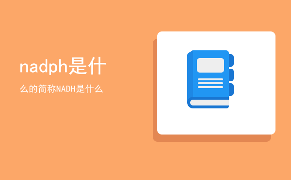 nadph是什么的简称「NADH是什么」