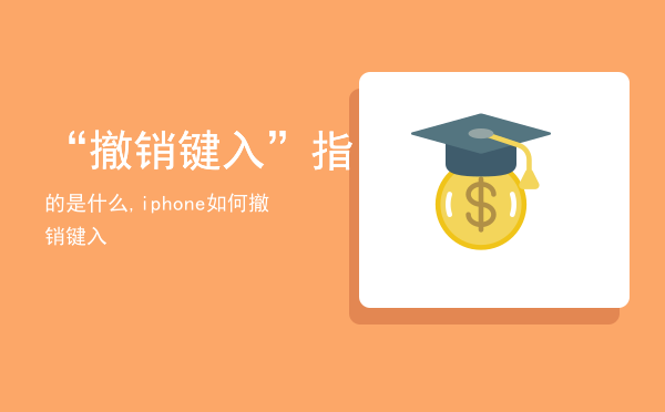 “撤销键入”指的是什么,iphone如何撤销键入