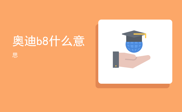 奥迪b8什么意思