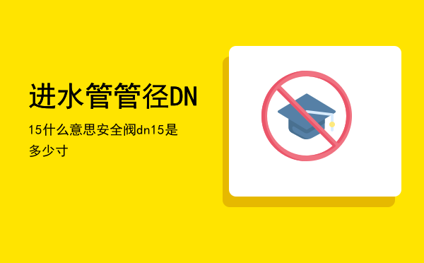 进水管管径DN15什么意思「安全阀dn15是多少寸」