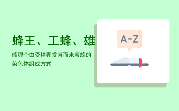 蜂王、工蜂、雄峰哪个由受精卵发育而来「蜜蜂的染色体组成方式」