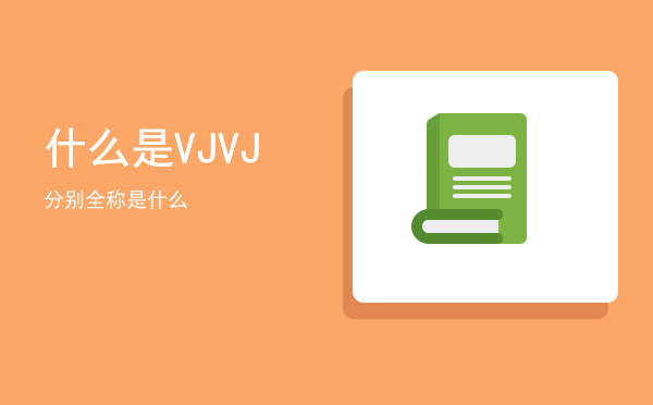 什么是VJ，VJ分别全称是什么