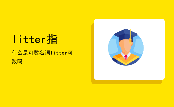 litter指什么是可数名词，litter可数吗