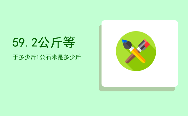 59.2公斤等于多少斤（1公石米是多少斤）