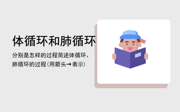 体循环和肺循环分别是怎样的过程（简述体循环、肺循环的过程(用箭头→表示)）