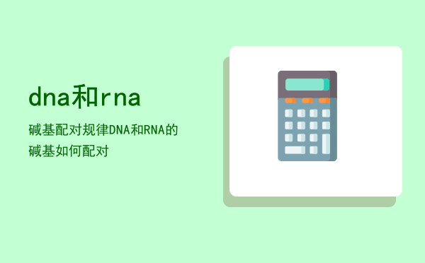 dna和rna碱基配对规律「DNA和RNA的碱基如何配对」