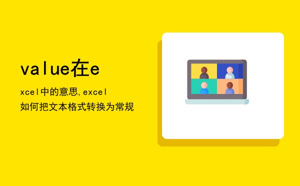 value在excel中的意思,excel如何把文本格式转换为常规