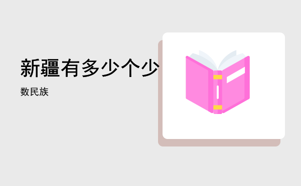 新疆有多少个少数民族