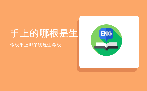 手上的哪根是生命线「手上哪条线是生命线」