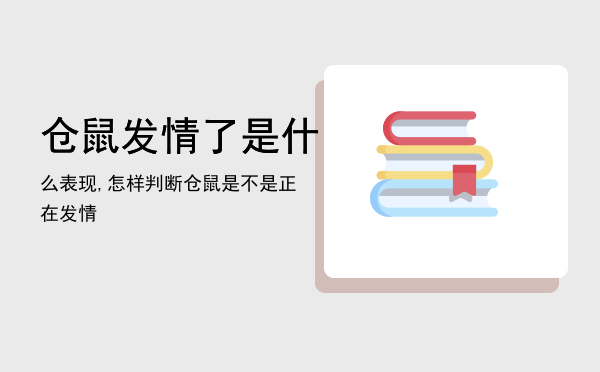 仓鼠发情了是什么表现,怎样判断仓鼠是不是正在发情