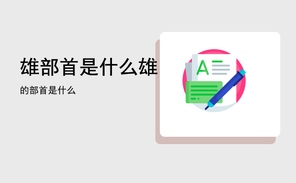 雄部首是什么「雄的部首是什么」