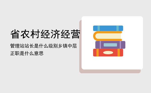 省农村经济经营管理站站长是什么级别「乡镇中层正职是什么意思」